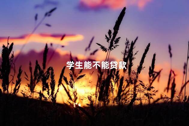 学生能不能贷款