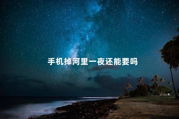 手机掉河里一夜还能要吗