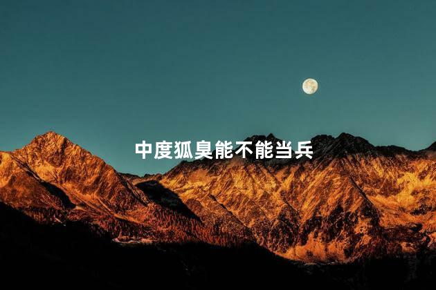 中度狐臭能不能当兵