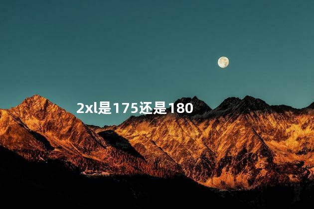 2xl是175还是180