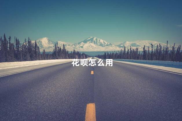 花呗怎么用