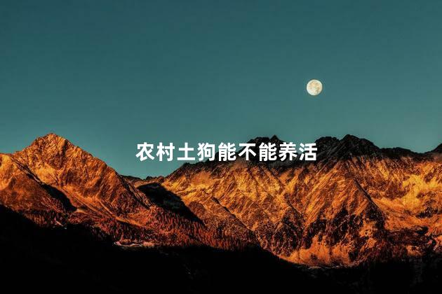 农村土狗能不能养活