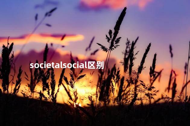 societalsocial区别