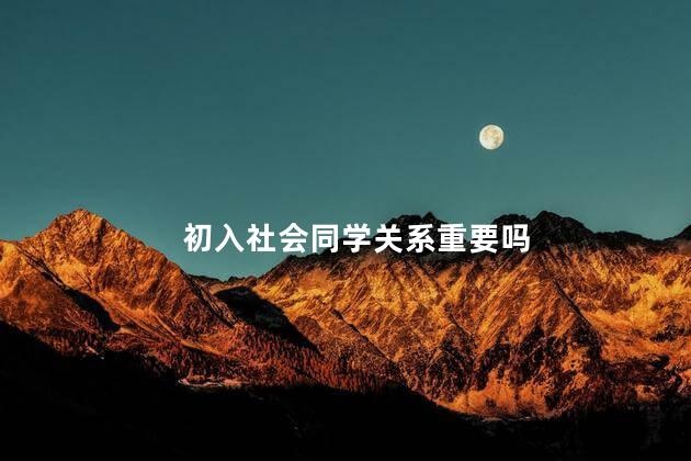 初入社会同学关系重要吗