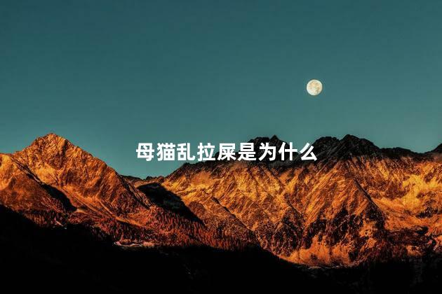 母猫乱拉屎是为什么