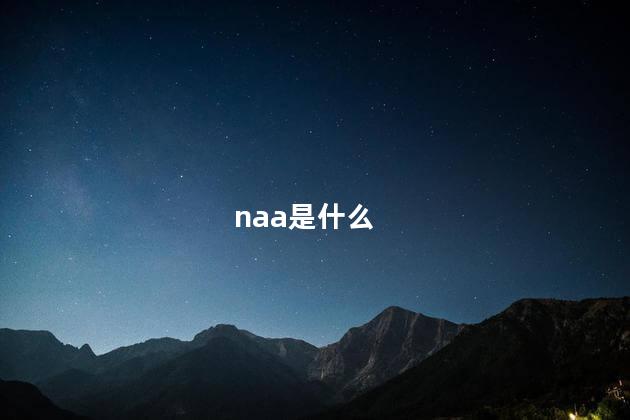 naa是什么