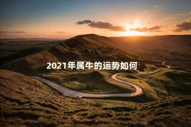 2021年属牛的运势如何