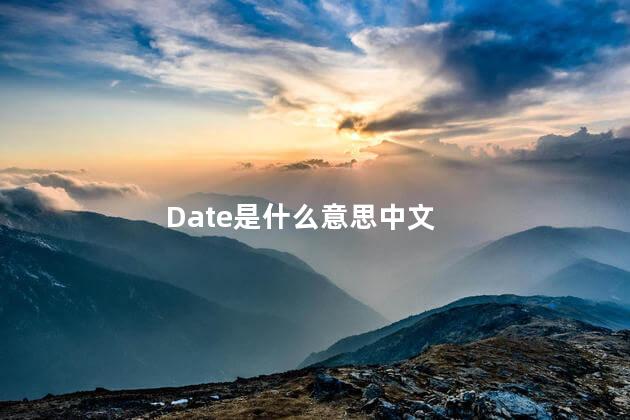 Date是什么意思中文