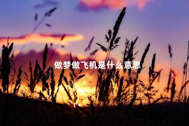 做梦做飞机是什么意思