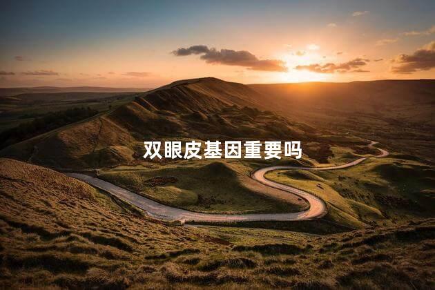 双眼皮基因重要吗