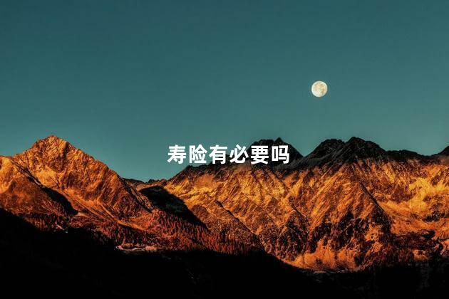 寿险有必要吗