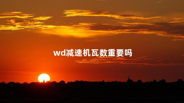 wd减速机瓦数重要吗