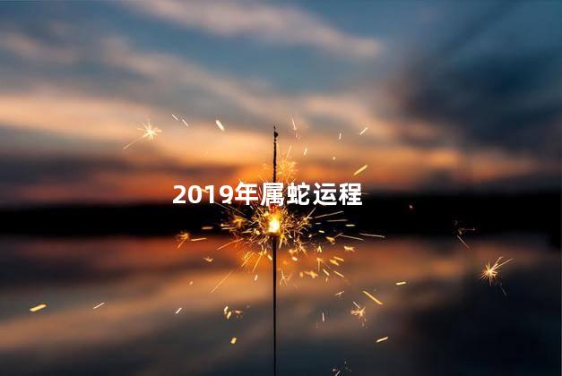 2019年属蛇运程