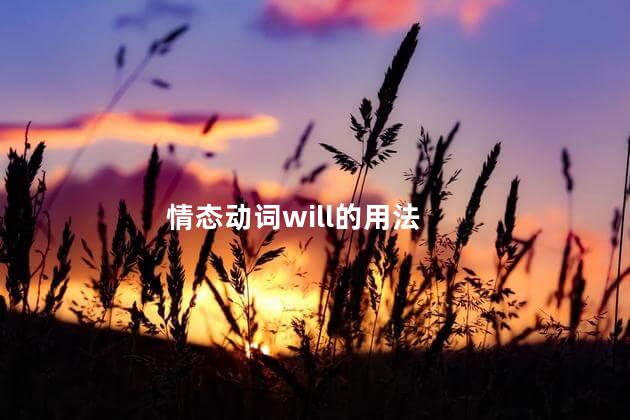 情态动词will的用法