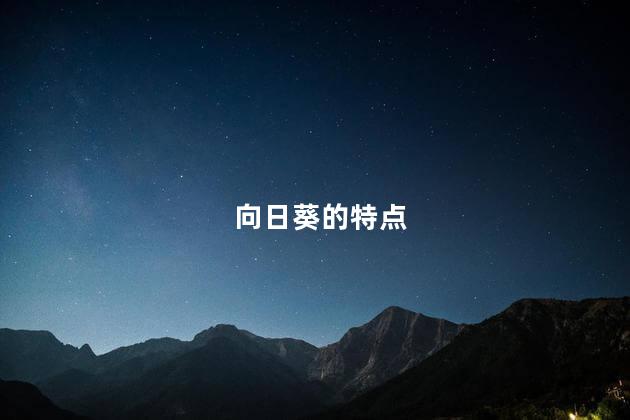 向日葵的特点