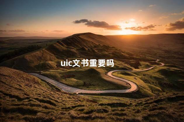 uic文书重要吗