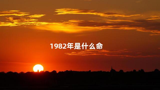 1982年是什么命