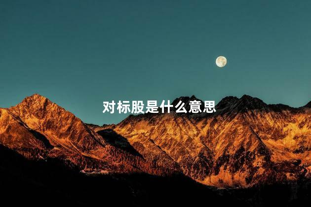 对标股是什么意思