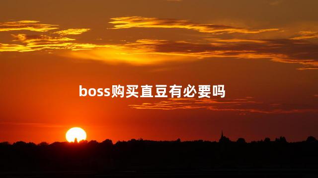 boss购买直豆有必要吗