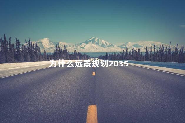 为什么远景规划2035