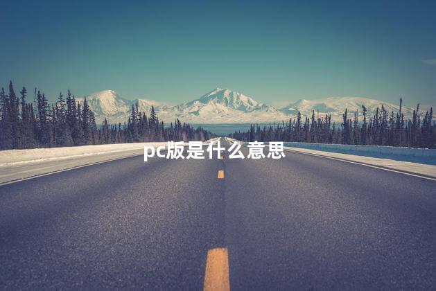 pc版是什么意思