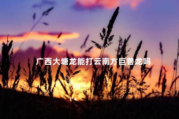 广西大塘龙能打云南方巨兽龙吗