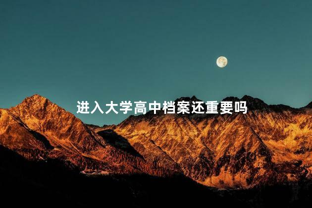 进入大学高中档案还重要吗