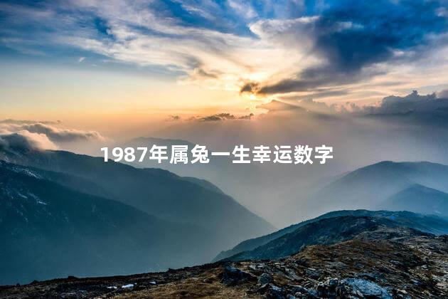 1987年属兔一生幸运数字