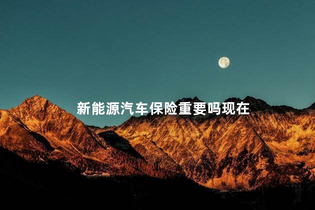 新能源汽车保险重要吗现在