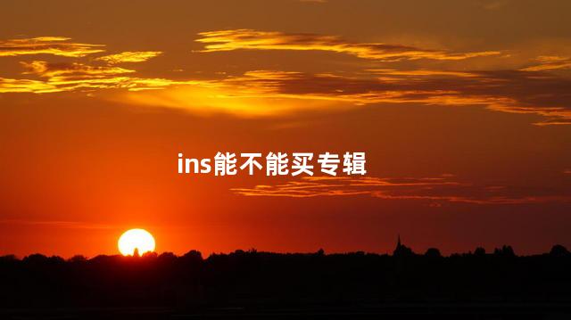 ins能不能买专辑