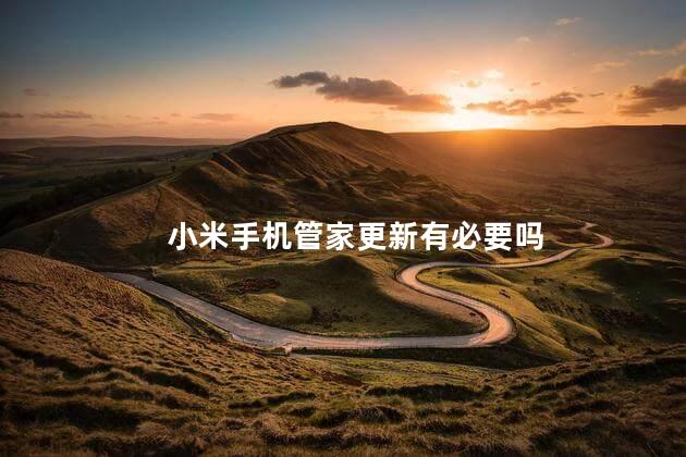 小米手机管家更新有必要吗