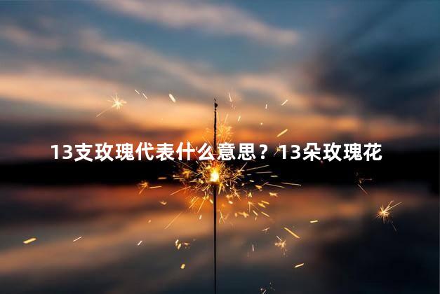 13支玫瑰代表什么意思？13朵玫瑰花象征着什么意义