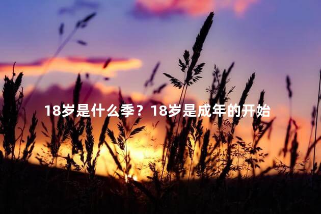 18岁是什么季？18岁是成年的开始