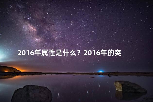 2016年属性是什么？2016年的突出特点是什么