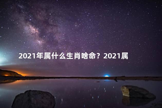 2021年属什么生肖啥命？2021属什么生肖？详解每个生肖的运势