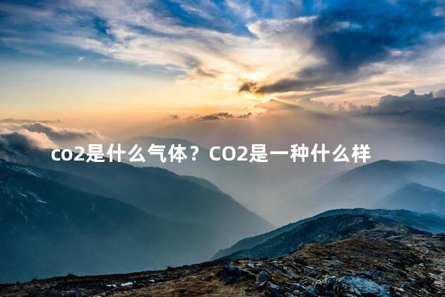 co2是什么气体？CO2是一种什么样的气体？