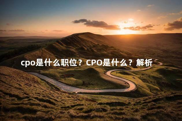 cpo是什么职位？CPO是什么？解析CPO职位的工作内容