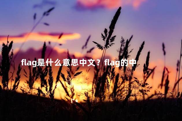 flag是什么意思中文？flag的中文含义是什么？