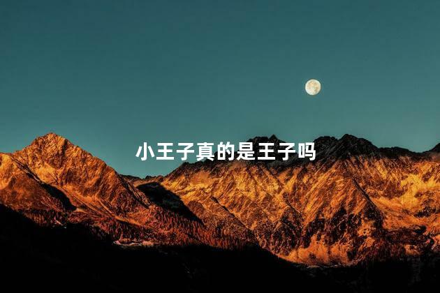 小王子真的是王子吗