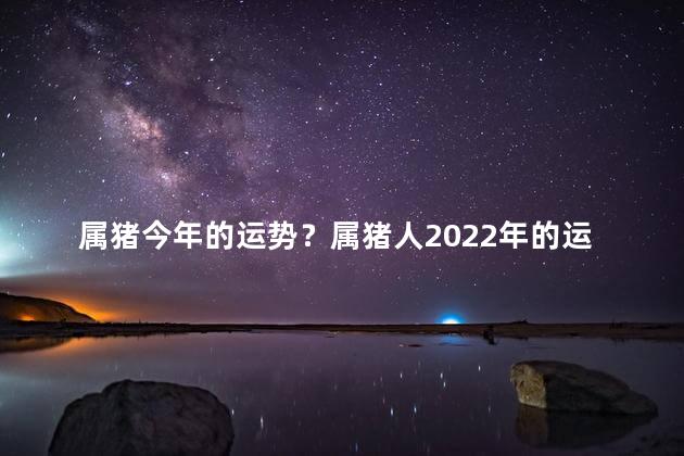 属猪今年的运势？属猪人2022年的运势预测