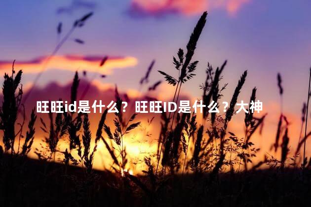 旺旺id是什么？旺旺ID是什么？大神能解答吗？