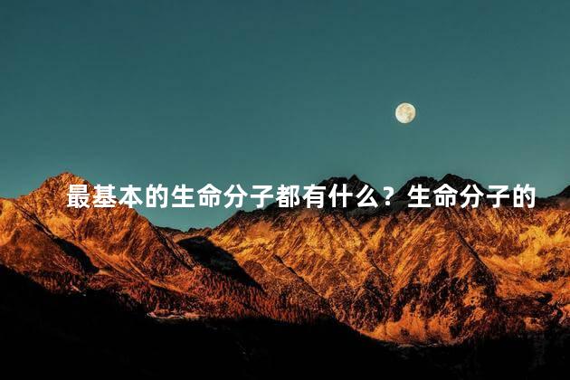 最基本的生命分子都有什么？生命分子的基本构成物质