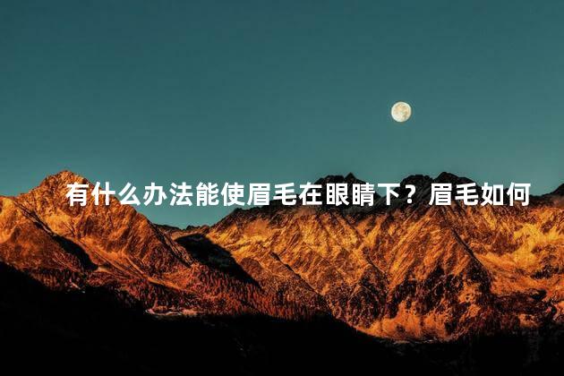 有什么办法能使眉毛在眼睛下？眉毛如何变得更浓密？