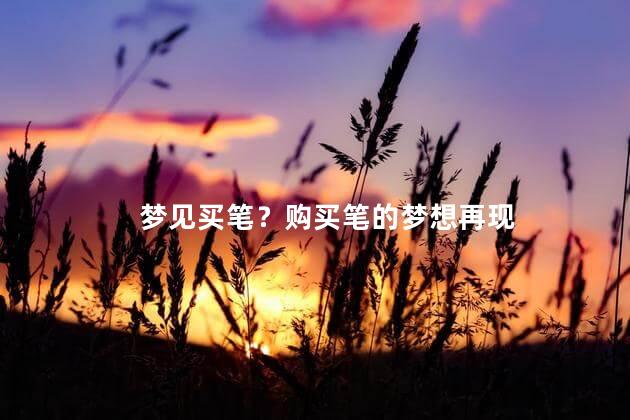 梦见买笔？购买笔的梦想再现