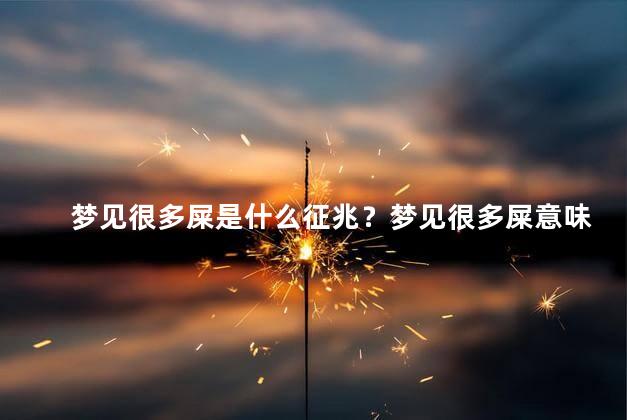 梦见很多屎是什么征兆？梦见很多屎意味着什么？