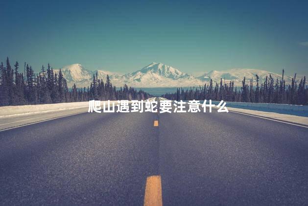 爬山遇到蛇要注意什么，爬山遇到蛇怎么办