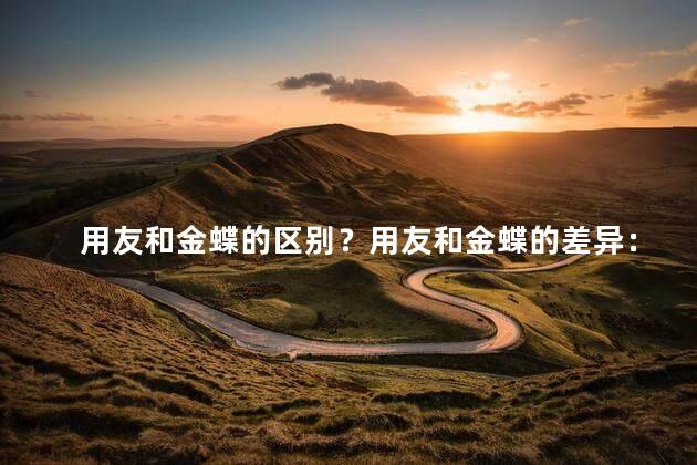 用友和金蝶的区别？用友和金蝶的差异：你必须了解的知识点