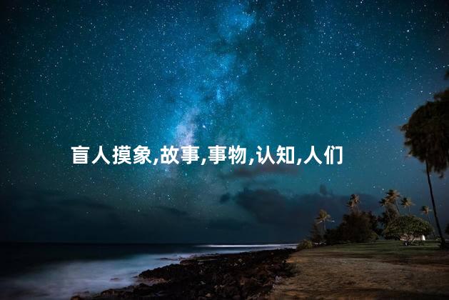 盲人摸象的故事？盲人感知象形态：一种独特而真实的触觉体验