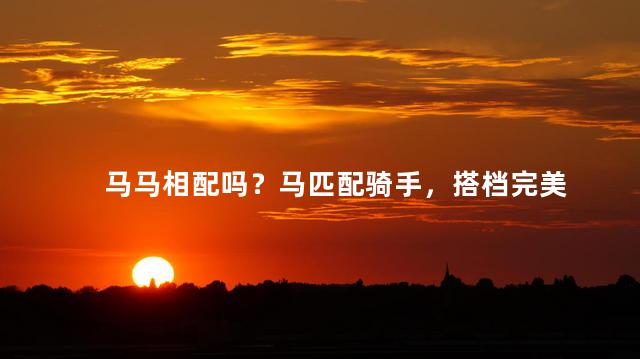 马马相配吗？马匹配骑手，搭档完美