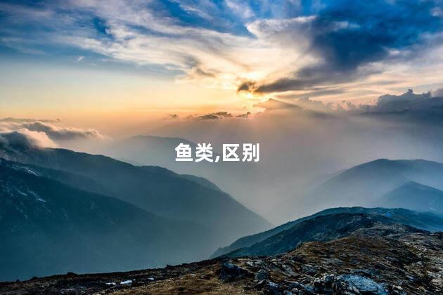 鱼类,区别